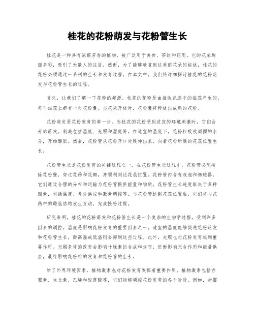 桂花的花粉萌发与花粉管生长