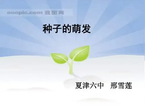 济南版八上《种子的萌发》ppt课件