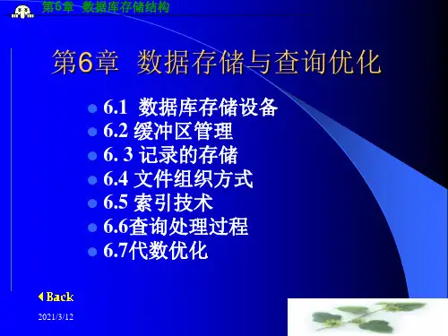第6章--数据库存储结构PPT课件