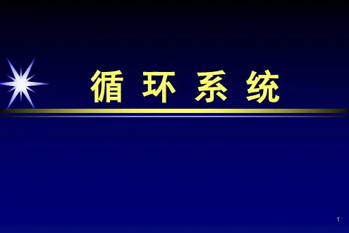 循环系统ppt课件