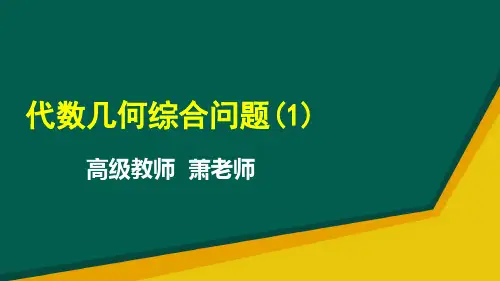 人教版数学2018年中考  代数几何综合问题(1) (共24张PPT)