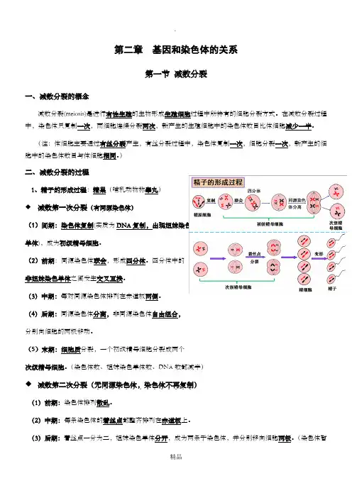 高中生物 人教版必修二 第二章 知识点总结
