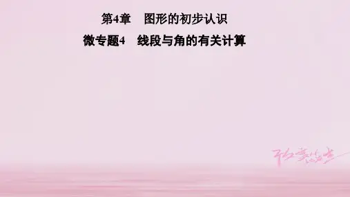 2019年秋七年级数学华东师大版上册课件：第4章 微专题4 线段与角的有关计算 (共22张PPT)