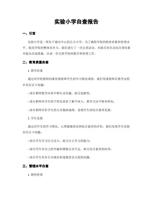 实验小学自查报告