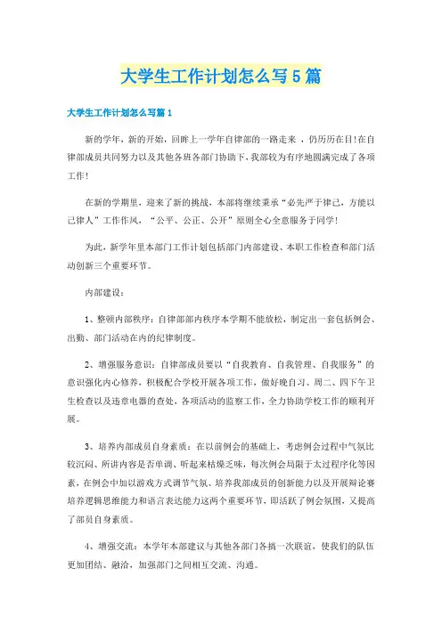大学生工作计划怎么写5篇