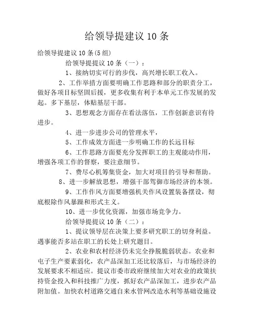 给领导提建议10条