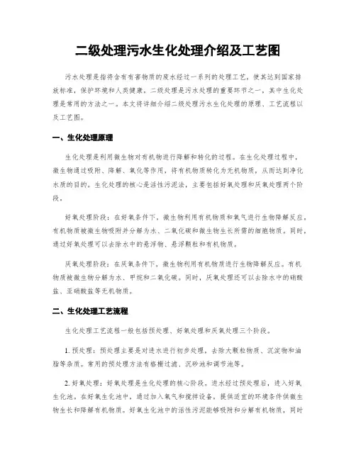 二级处理污水生化处理介绍及工艺图