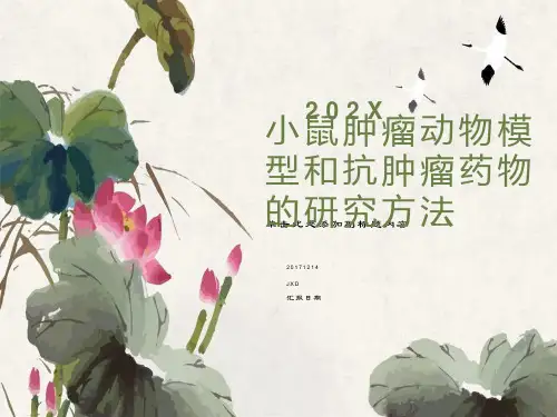 小鼠裸鼠肿瘤动物模型ppt课件