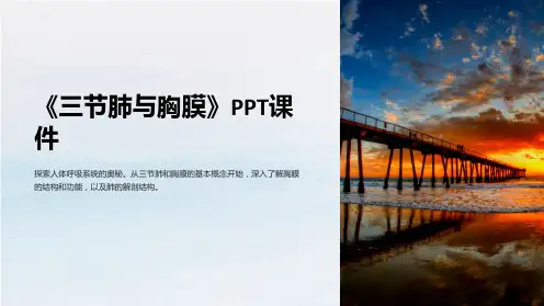 《三节肺与胸膜》课件