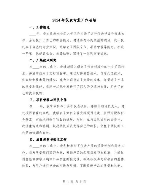 2024年仪表专业工作总结(2篇)
