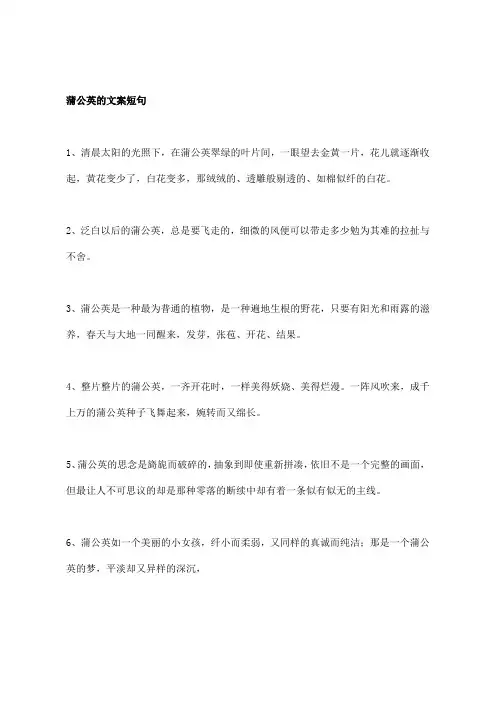 蒲公英的文案短句