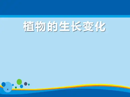 《植物的生长变化》生长与变化PPT课件2【精选推荐课件】