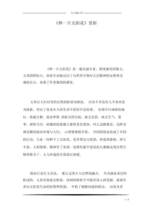 《种一片太阳花》赏析