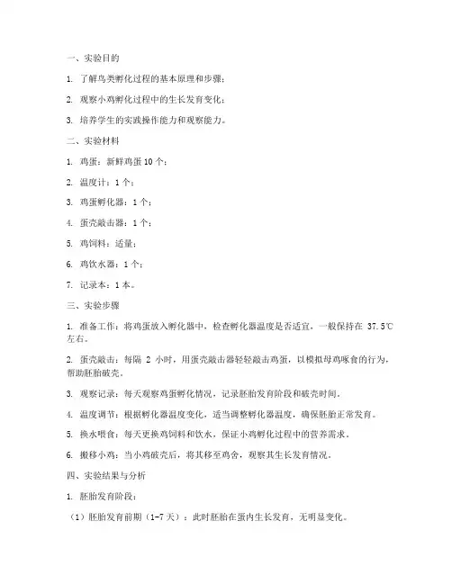 小鸡孵化的实验报告