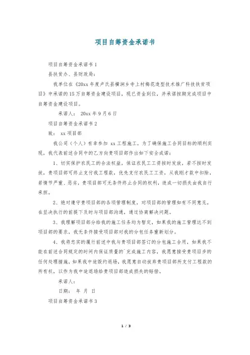 项目自筹资金承诺书