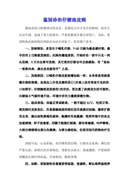 鉴别诊治仔猪油皮病