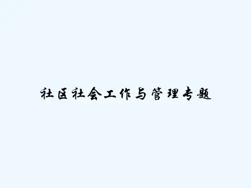 社区社会工作与管理专题 PPT