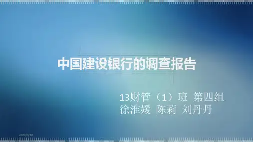 中国建行业务简介PPT课件