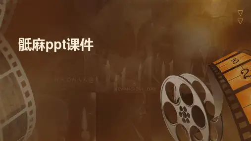 骶麻ppt课件