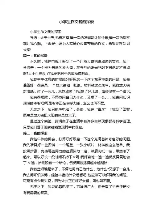 小学生作文我的探索