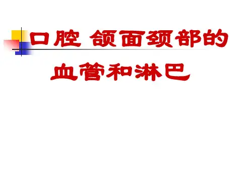 口腔医学：口腔颌面颈部的血管和淋巴