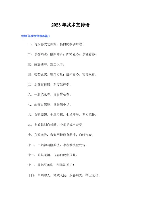 2023年武术宣传语