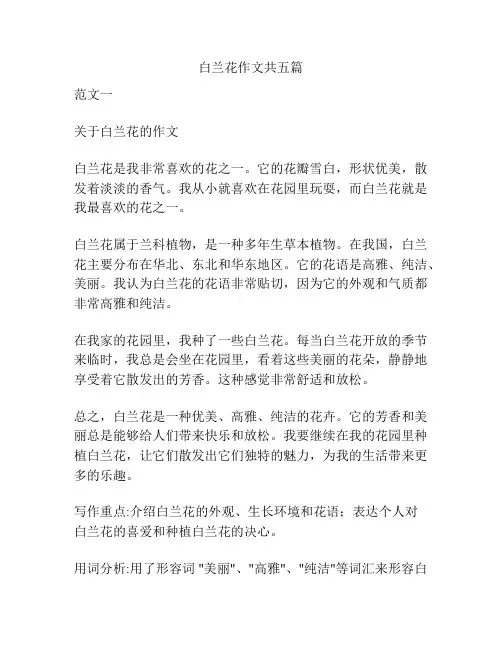 白兰花作文共五篇