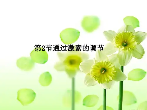 人教版  通过激素的调节(共34张PPT)