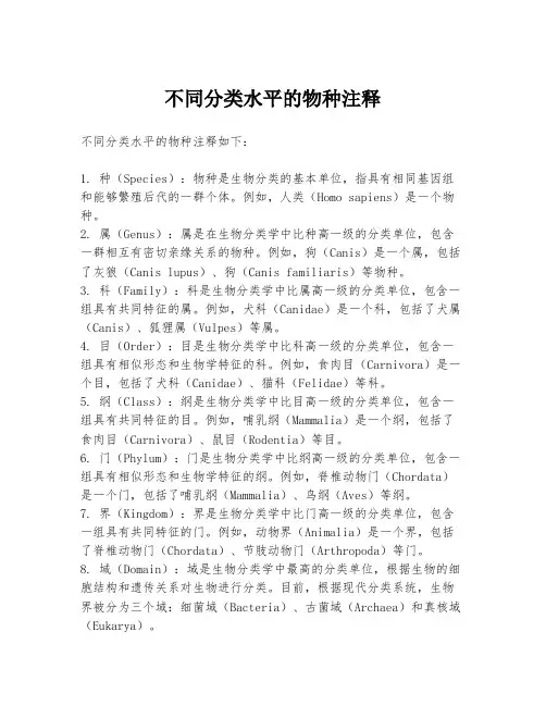 不同分类水平的物种注释