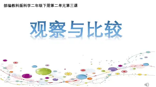 二年级下 3.《观察与比较》(6) 教科版实用PPT