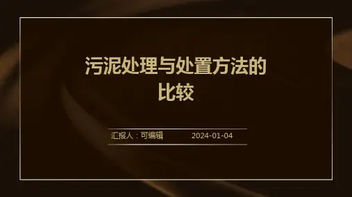 污泥处理与处置方法的比较