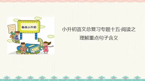六年级小升初语文总复习 专题十五·阅读之理解重点句子含义  课件-人教统编版 (共24张PPT)