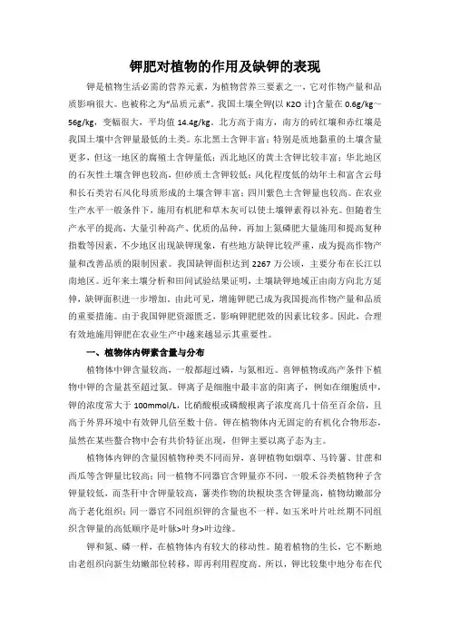 钾肥对植物的作用及缺钾的表现