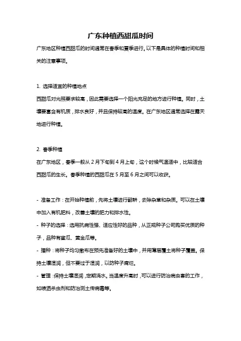 广东种植西甜瓜时间