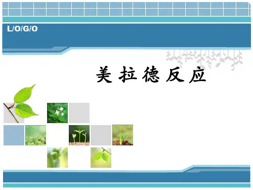 美拉德反应