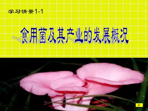 1-1食用菌概述