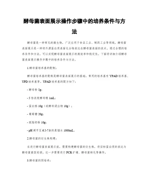 酵母菌表面展示操作步骤中的培养条件与方法