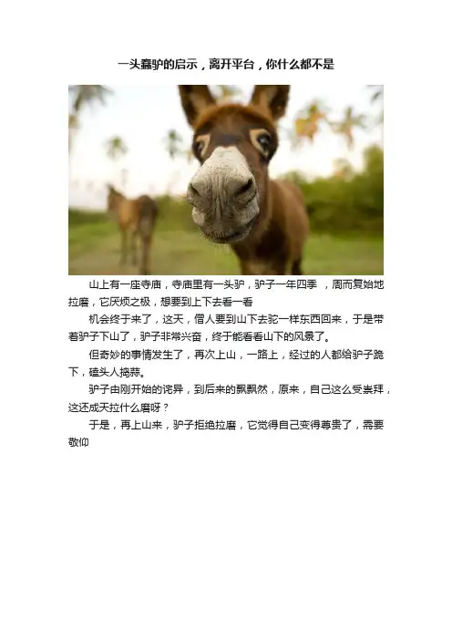 一头蠢驴的启示，离开平台，你什么都不是