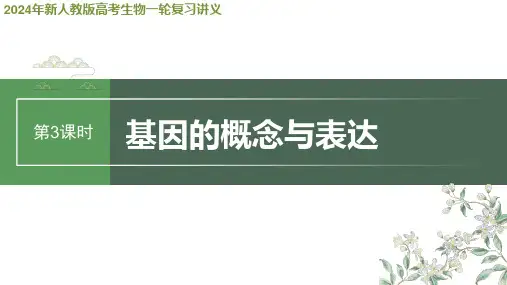2024年新人教版高考生物一轮复习讲义  第6单元 第3课时 基因的概念与表达