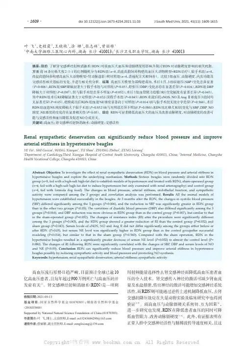 肾交感神经射频消融术可降低高血压犬血压并改善动脉硬度