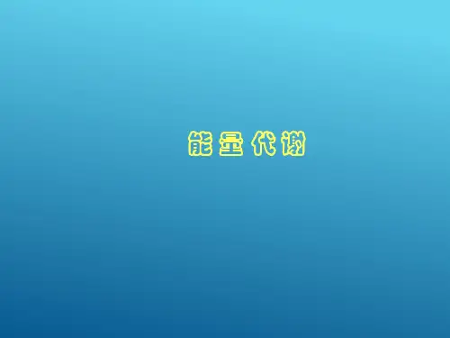 能量代谢与体温(生理学课件)