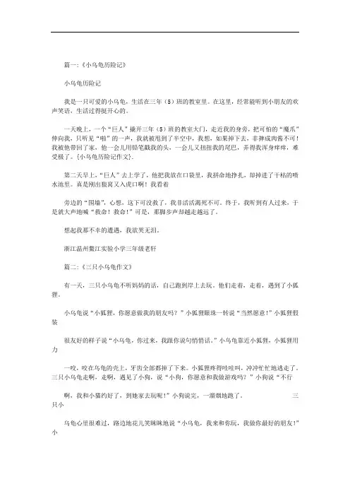 小乌龟历险记作文范文