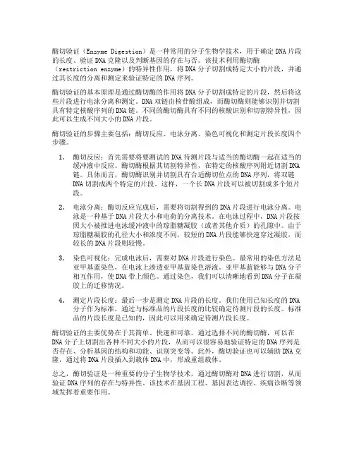 酶切验证的原理