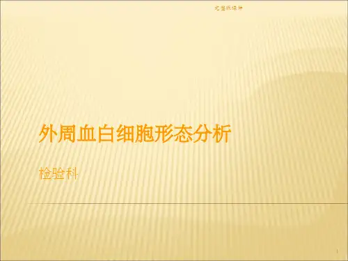 外周血白细胞形态ppt课件