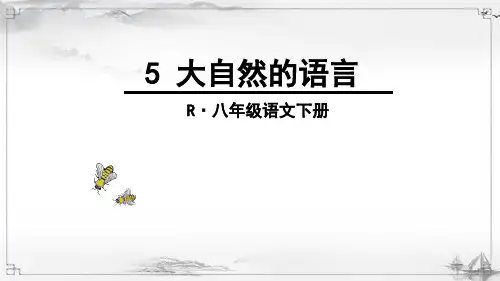 部编版八年级语文下册《大自然的语言》优秀课件