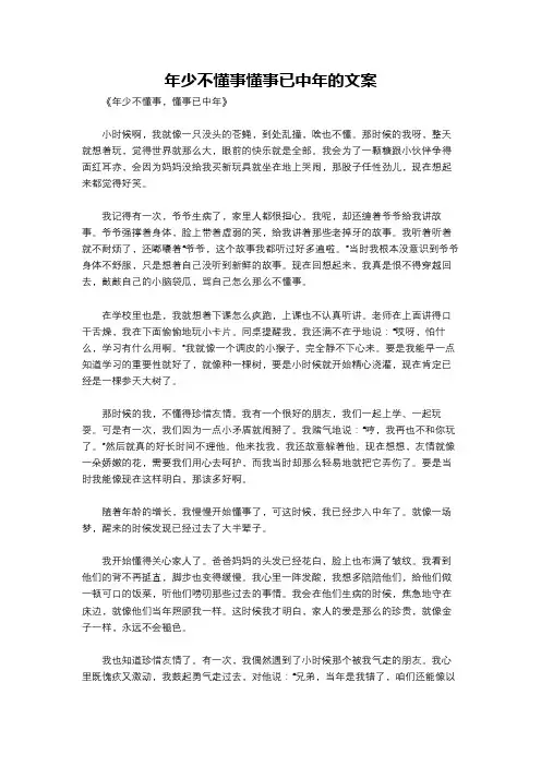 年少不懂事懂事已中年的文案