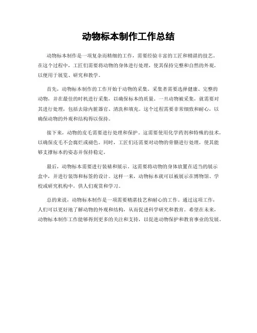 动物标本制作工作总结
