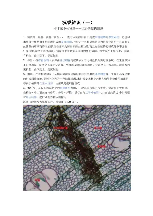 沉香辨识一