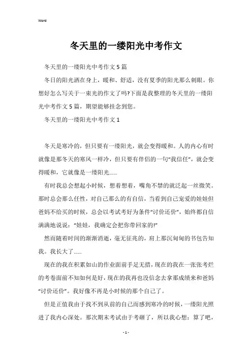 冬天里的一缕阳光中考作文