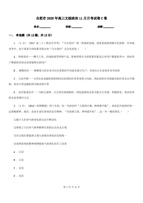 合肥市2020年高三文综政治11月月考试卷C卷